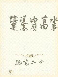 阴道内有水流出是怎么回事