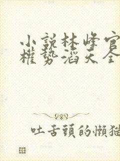 小说林峰官道之权势滔天全文阅读