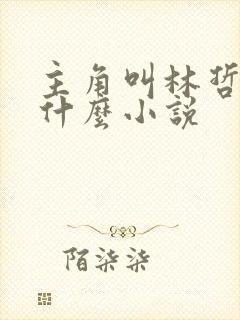 主角叫林哲的是什么小说封面