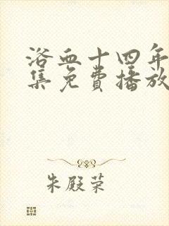 浴血十四年40集免费播放封面