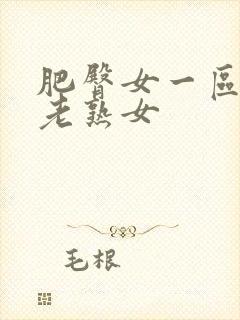 肥臀女一区二区老熟女