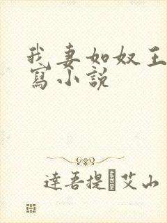 我妻如奴王琳续写小说