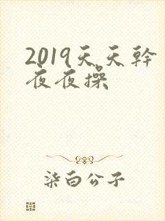 2019天天干夜夜操