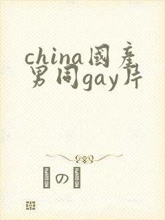 china国产男同gay片封面