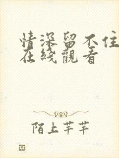 情深留不住短剧在线观看