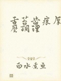 舌苔齿痕厚腻怎么调理