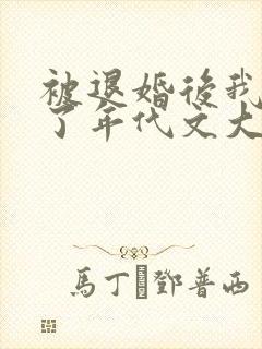 被退婚后我嫁给了年代文大佬by柠檬九