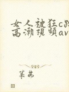 女人被狂c躁到高潮视频av