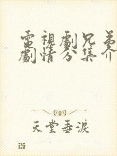 电视剧兄弟姐妹剧情分集介绍