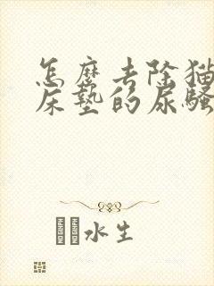 怎么去除猫咪尿床垫的尿骚味道