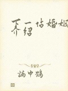 下一站婚姻剧情介绍