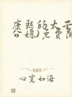 康熙的太子妃(公媳)免费阅读封面