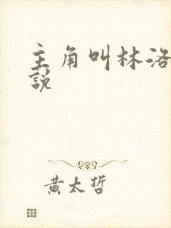 主角叫林洛的小说