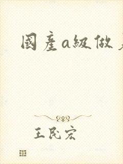 国产a级做爰片