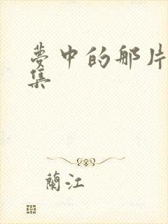 梦中的那片海几集