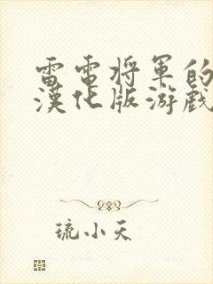 雷电将军的惩罚汉化版游戏简介封面