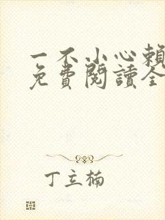 一不小心赖上你免费阅读全文