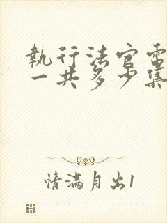 执行法官电视剧一共多少集