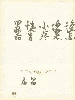 男性小便后生殖器会疼是怎么回事封面