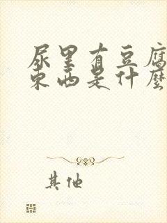 尿里有豆腐渣的东西是什么情况