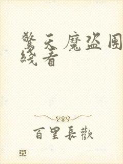 惊天魔盗团3在线看