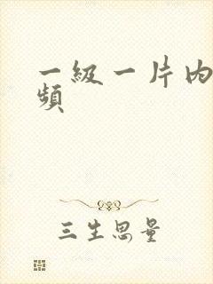 一级一片内射视频