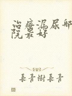 治疗漏尿哪家医院最好