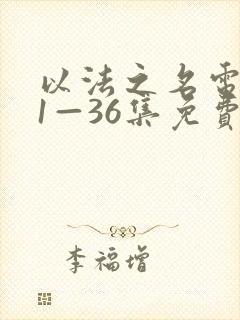 以法之名电视剧1—36集免费播放封面