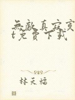 无敌真寂寞txt免费下载