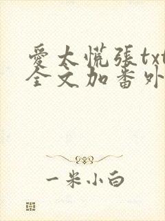 爱太慌张txt全文加番外