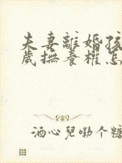 夫妻离婚孩子1岁抚养权怎么判定封面