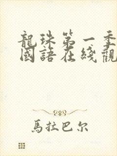 龙珠第一季全集国语在线观看