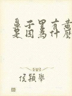 鼻子里有黄鼻涕是因为什么