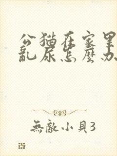 公猫在家里到处乱尿怎么办