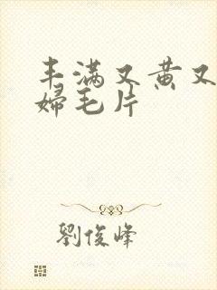 丰满又黄又爽少妇毛片封面