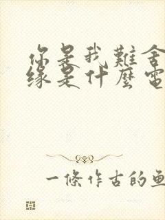 你是我难舍的情缘是什么电视剧里的歌封面