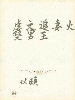 虐文追妻火葬场双男主封面