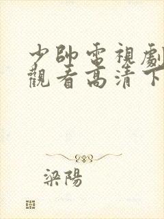 少帅电视剧免费观看高清下载