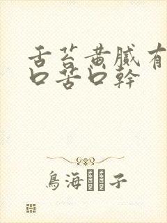 舌苔黄腻有齿痕口苦口干