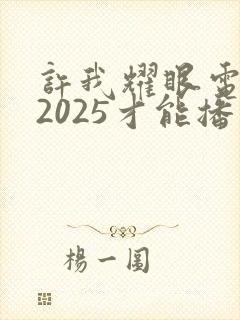 许我耀眼电视剧2025才能播吗