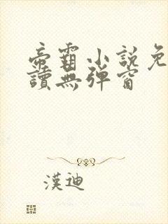 帝霸小说免费阅读无弹窗