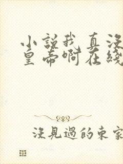 小说我真没想当皇帝啊在线阅读