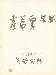 舌苔白厚腻有齿痕口臭