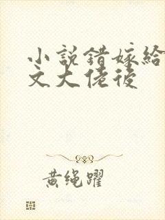 小说错嫁给年代文大佬后