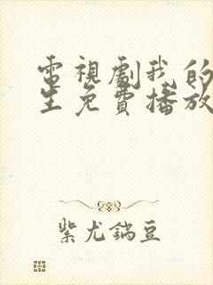 电视剧我的后半生免费播放