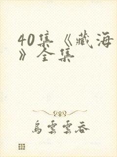 40集《藏海传》全集