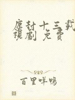 尘封十三载 电视剧 免费