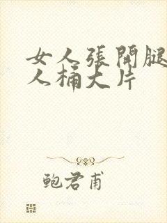 女人张开腿让男人桶大片