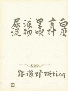 尿液里有白色沉淀物吃什么药