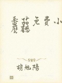 番茄免费小说怎么听